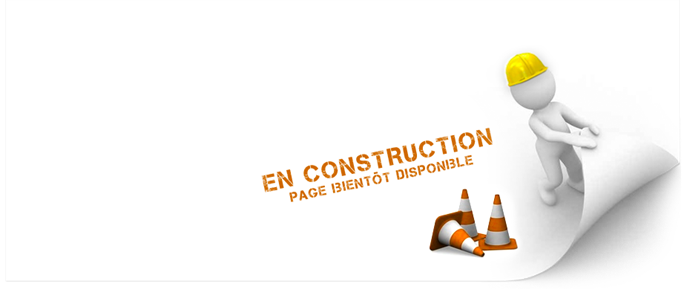 elna brother vente machine a coudre reparation machine a coudre brodeuse surjeuteuse recouvreuse pau tarbes auch orthez lourdes